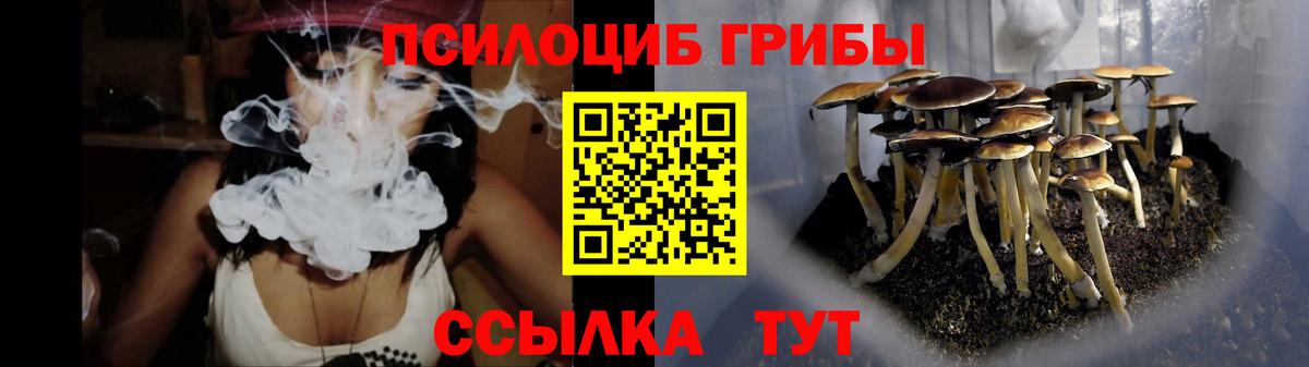 Псилоцибиновые грибы GOLDEN TEACHER Котельники